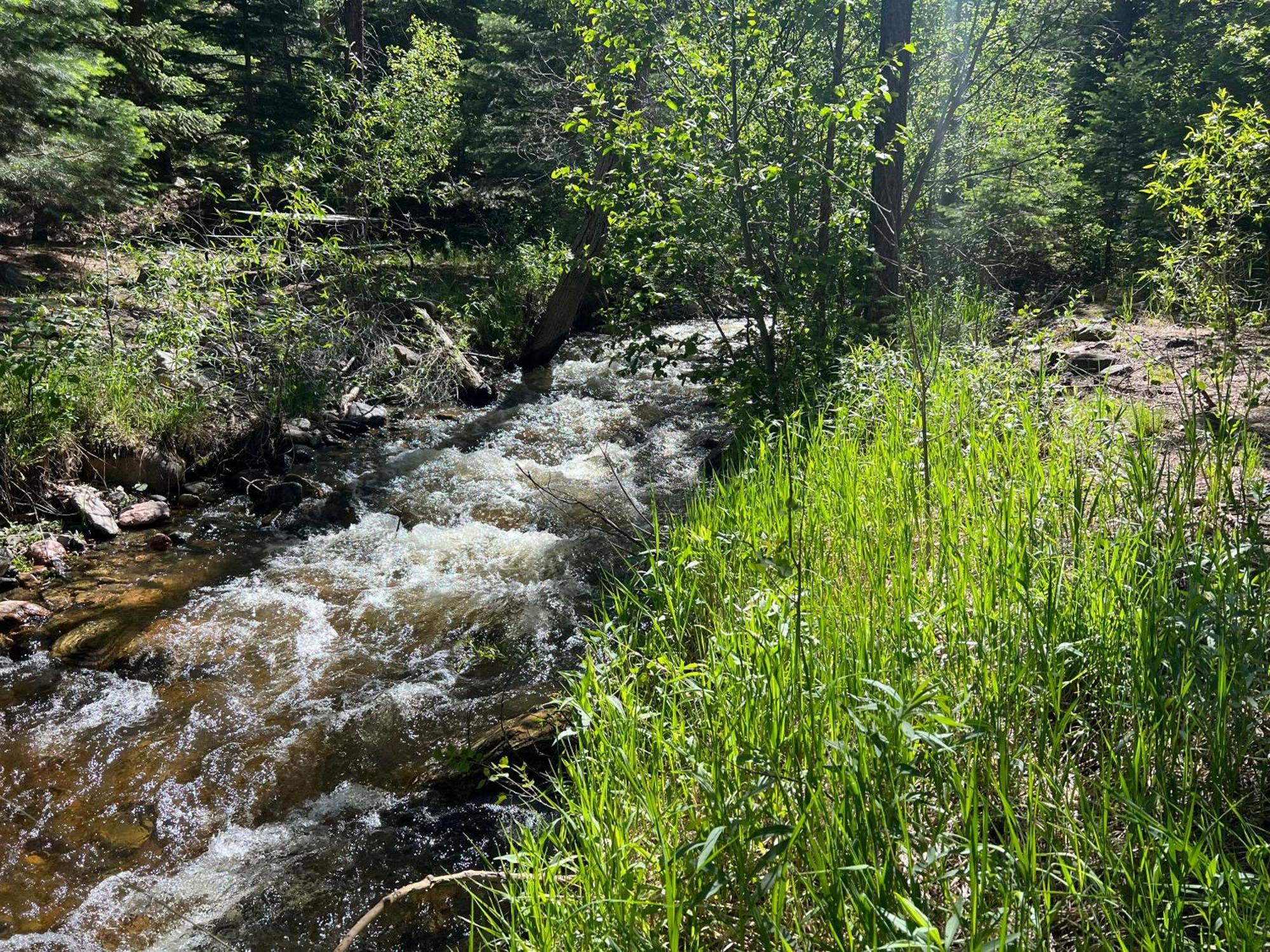 Cozy Cabin On The Creek Colorado City Exteriör bild