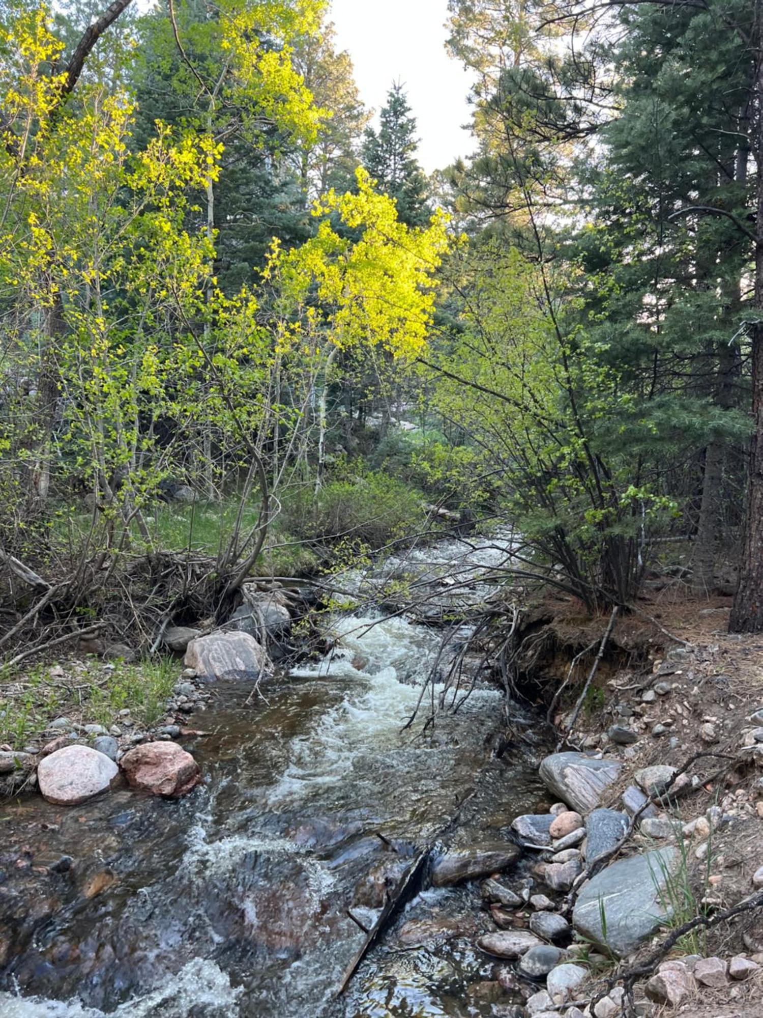 Cozy Cabin On The Creek Colorado City Exteriör bild